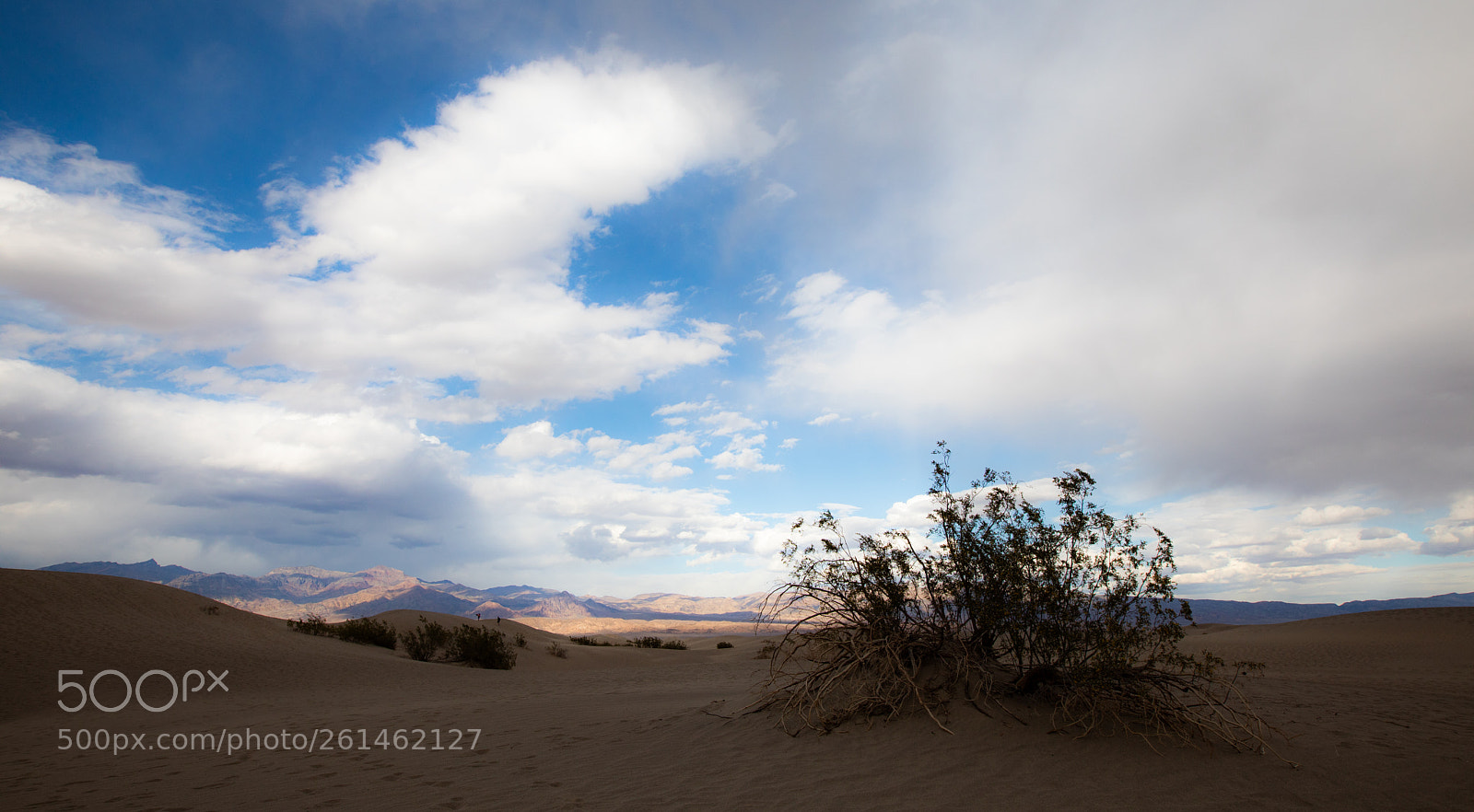 Canon EOS 5D Mark IV sample photo. Mesquite flat sand dunes photography
