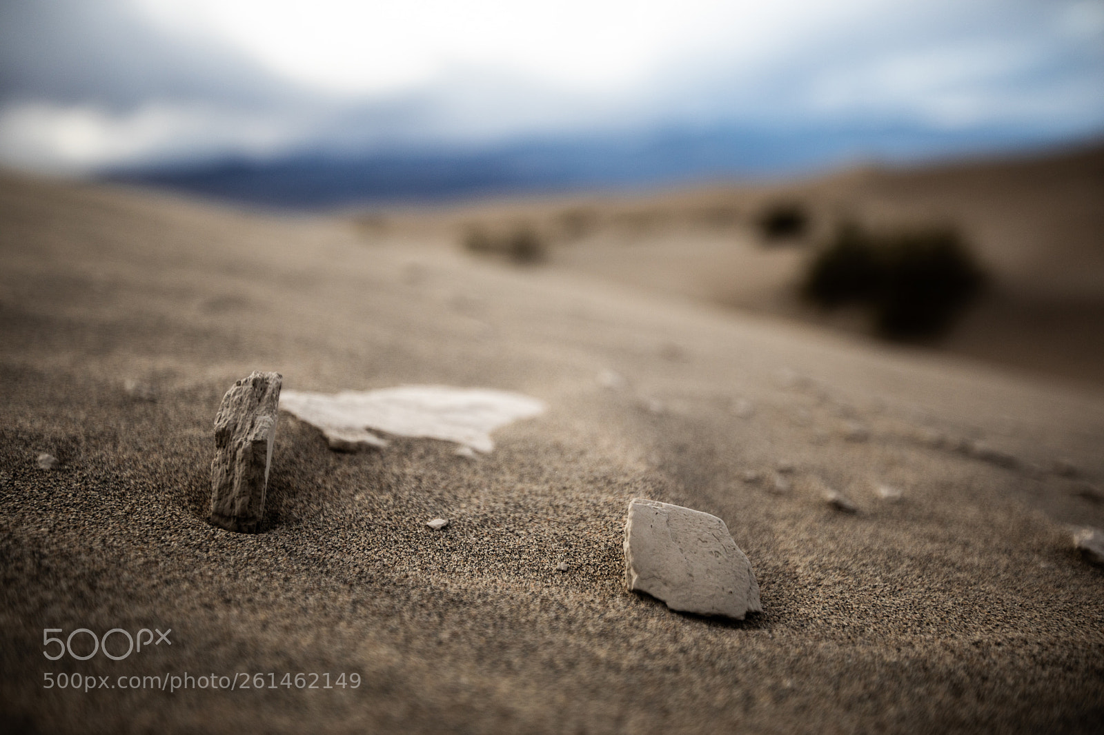 Canon EOS 5D Mark IV sample photo. Mesquite flat sand dunes photography