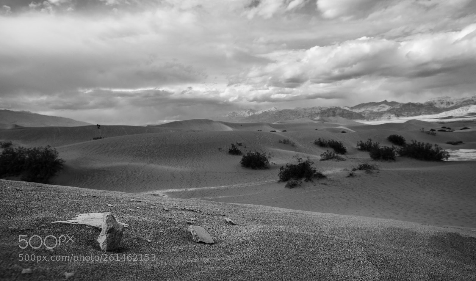 Canon EOS 5D Mark IV sample photo. Mesquite flat sand dunes photography