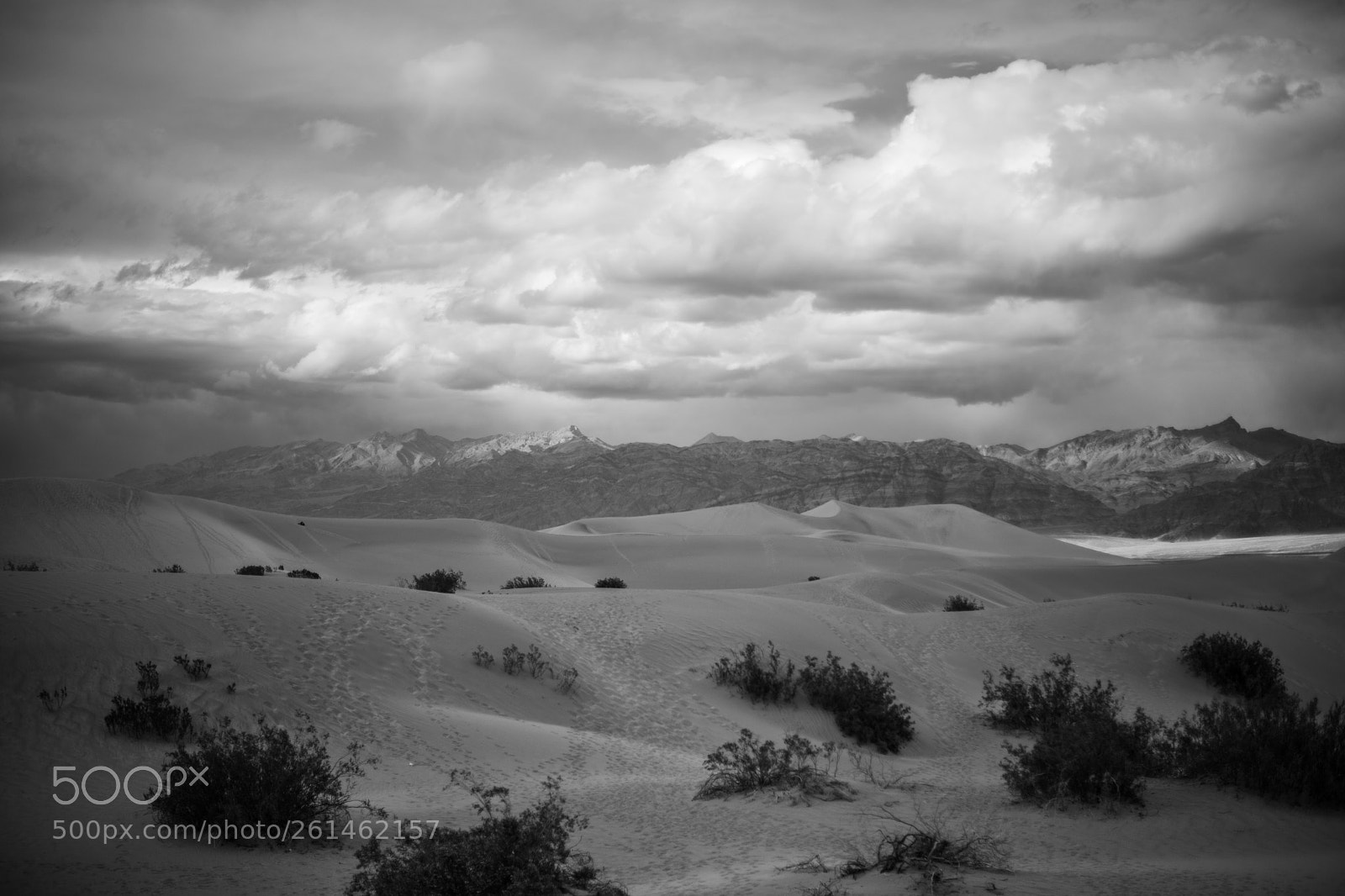 Canon EOS 5D Mark IV sample photo. Mesquite flat sand dunes photography