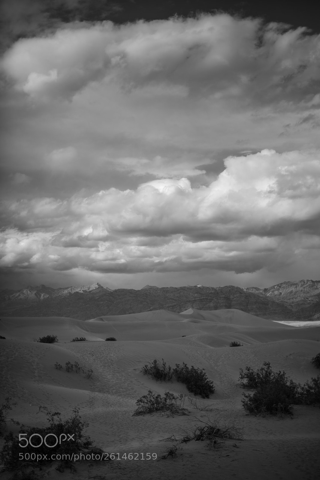 Canon EOS 5D Mark IV sample photo. Mesquite flat sand dunes photography