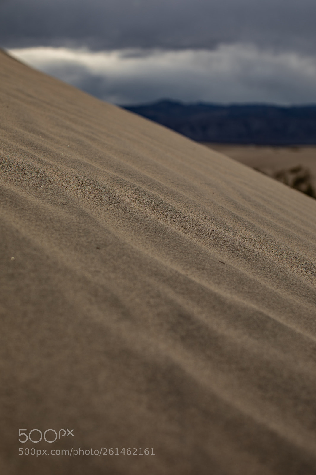 Canon EOS 5D Mark IV sample photo. Mesquite flat sand dunes photography