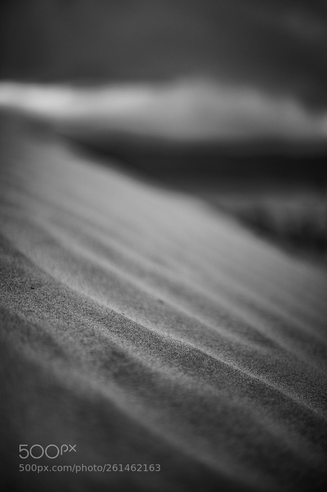 Canon EOS 5D Mark IV sample photo. Mesquite flat sand dunes photography
