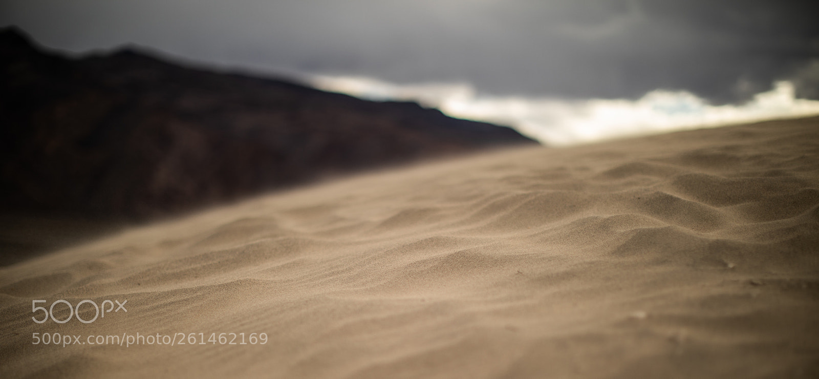 Canon EOS 5D Mark IV sample photo. Mesquite flat sand dunes photography