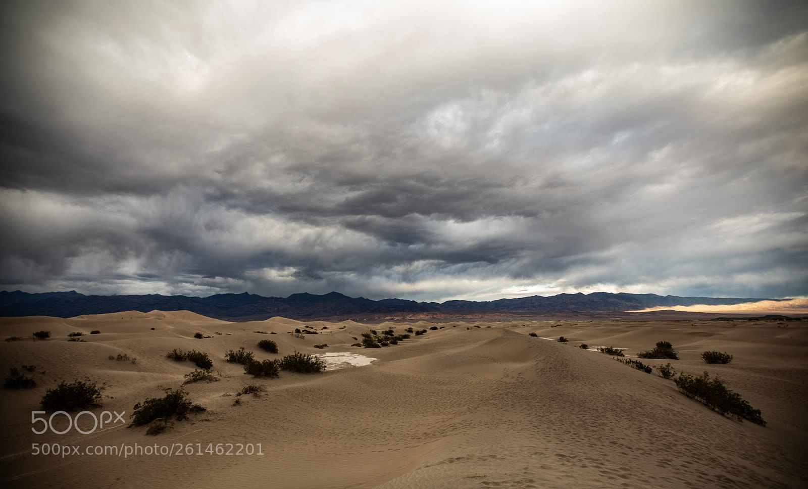 Canon EOS 5D Mark IV sample photo. Mesquite flat sand dunes photography