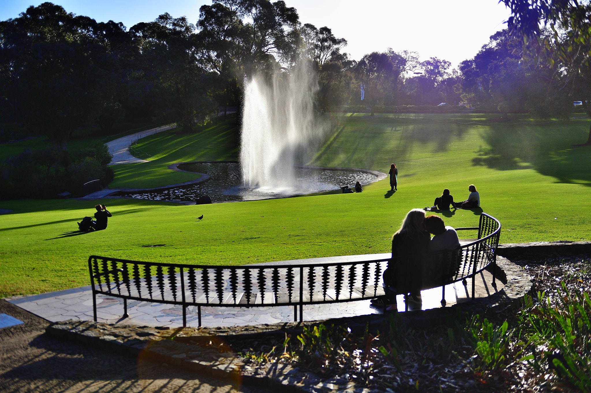 Nikon D5 sample photo. Warm photography