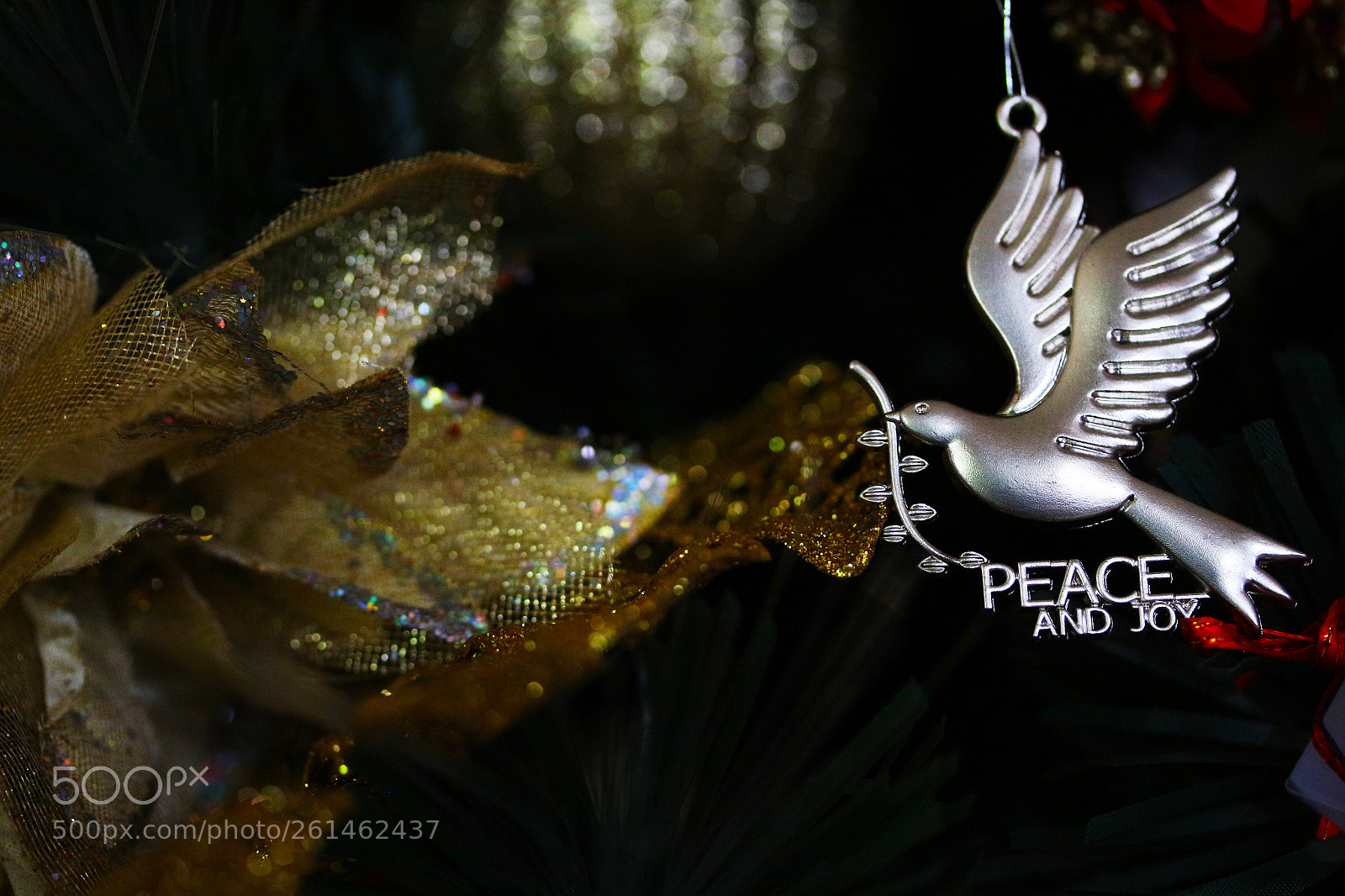 Canon EOS 700D (EOS Rebel T5i / EOS Kiss X7i) sample photo. Peace and joy christmas photography