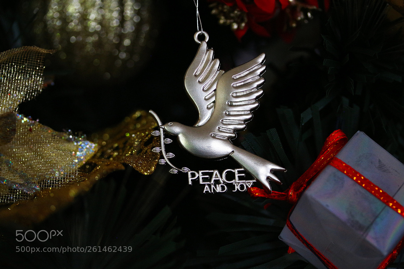 Canon EOS 700D (EOS Rebel T5i / EOS Kiss X7i) sample photo. Peace and joy christmas photography