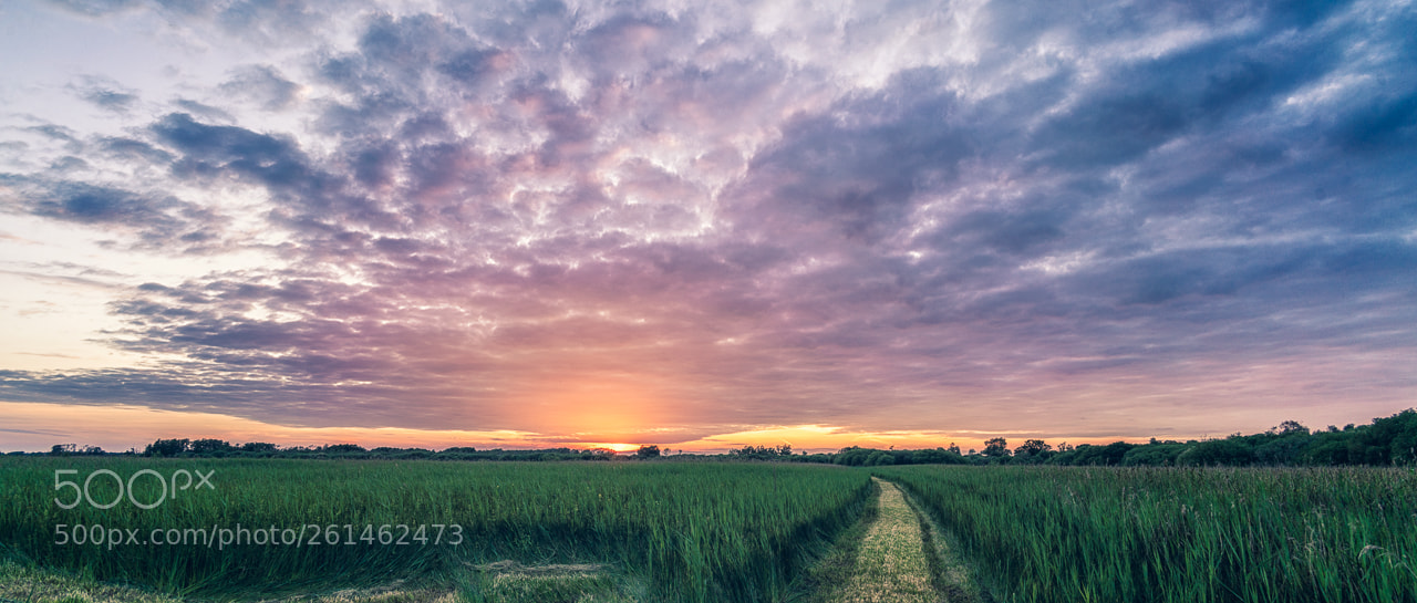 Sony a7R II sample photo. Wicken sky at sunset photography
