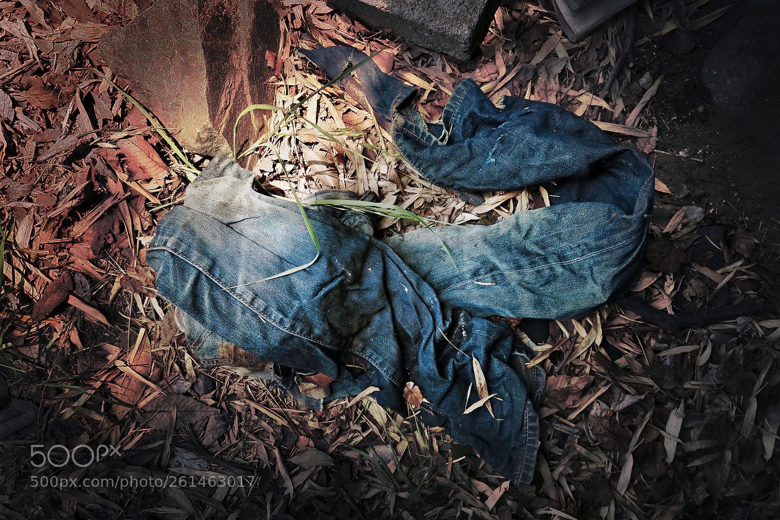 Canon PowerShot G7 X sample photo. Damage jeans photography