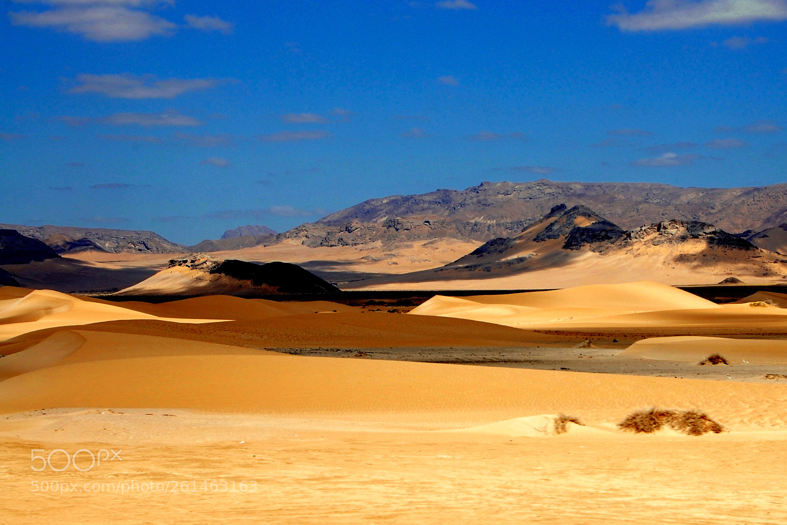 Nikon D40 sample photo. Yemen, desert photography