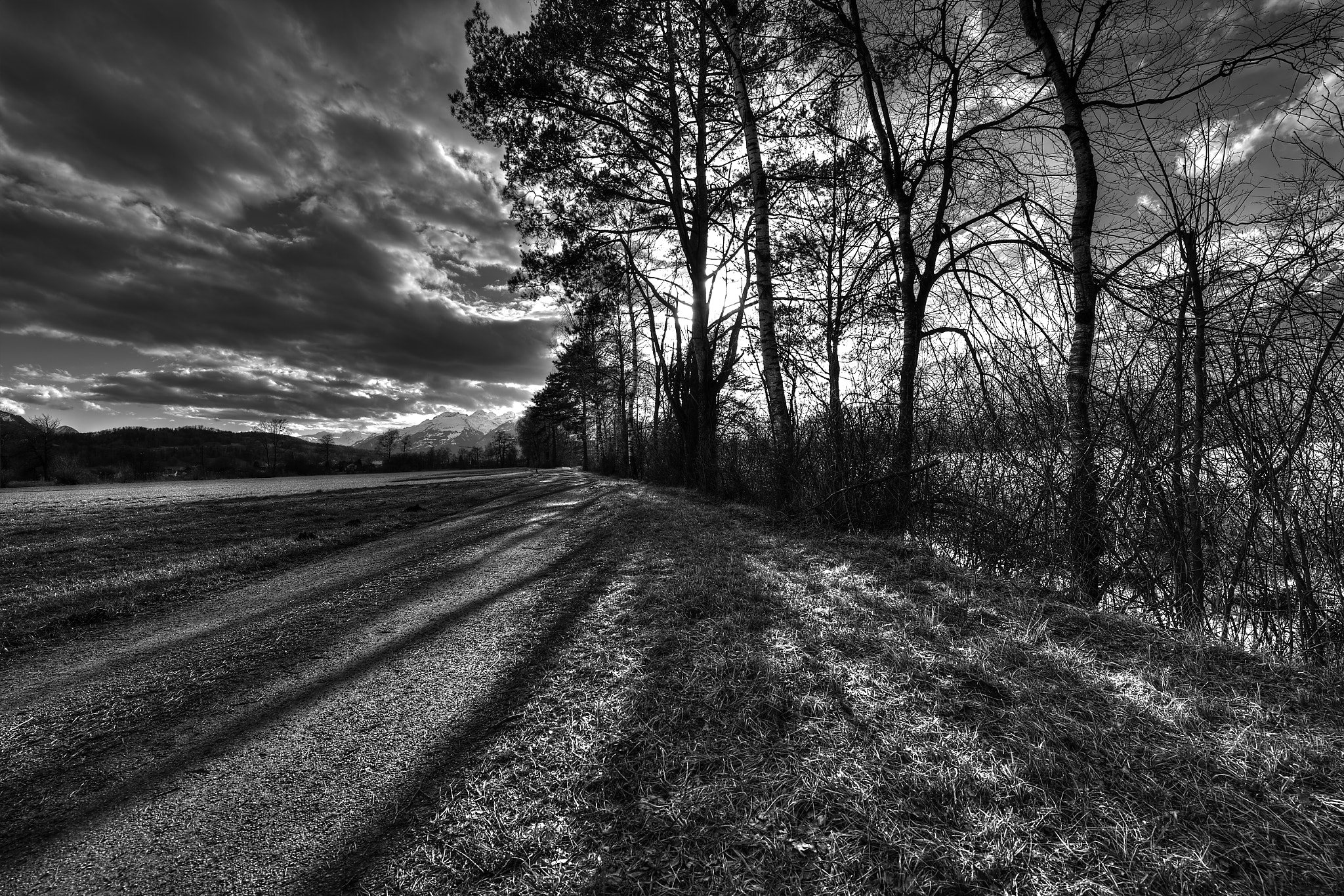 Nikon AF-S Nikkor 14-24mm F2.8G ED sample photo. Ruggeller riet  photography