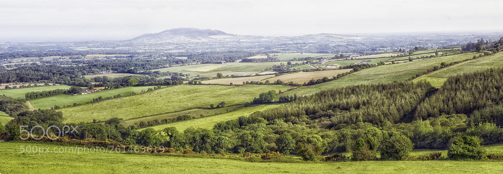 Canon EOS 600D (Rebel EOS T3i / EOS Kiss X5) sample photo. Pan view of coolgraney photography
