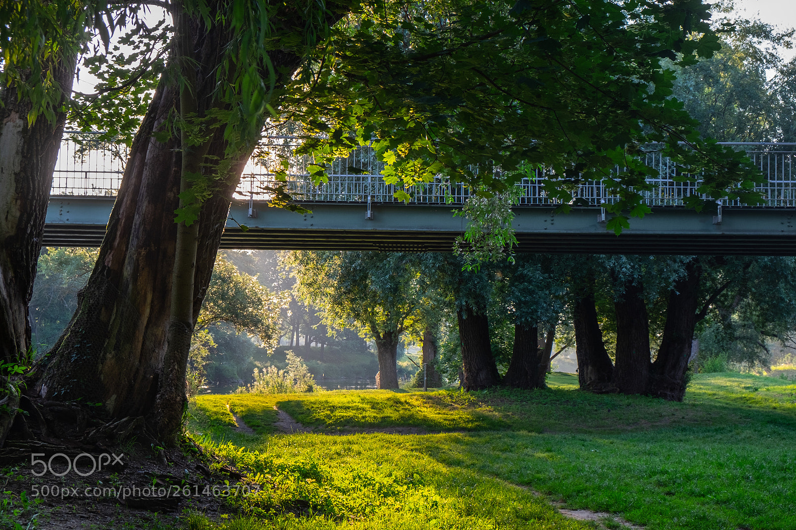 Fujifilm X-T1 sample photo. Morgenstimmung photography