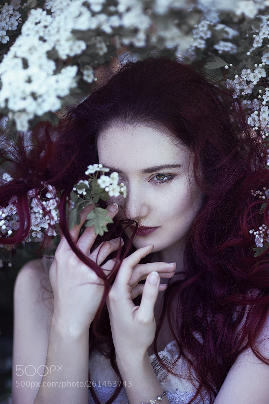 Canon EOS 6D sample photo. Blossom of beauty photography