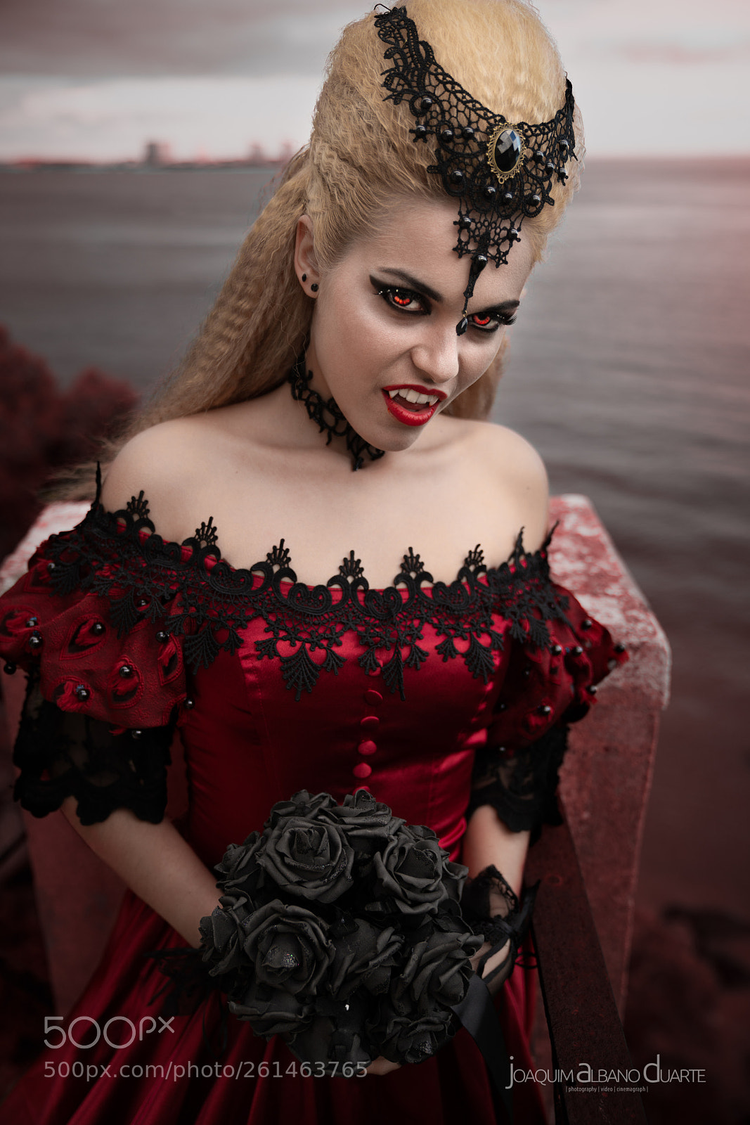Sony a7R III sample photo. Did you see my photography