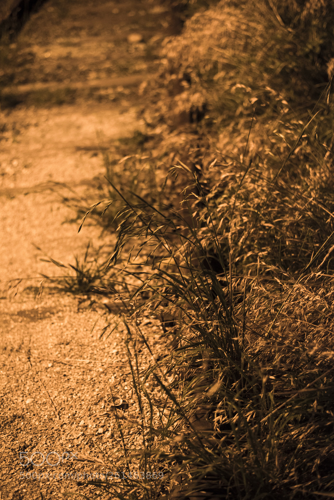 Nikon D810 sample photo. On the railroad   no.11 photography