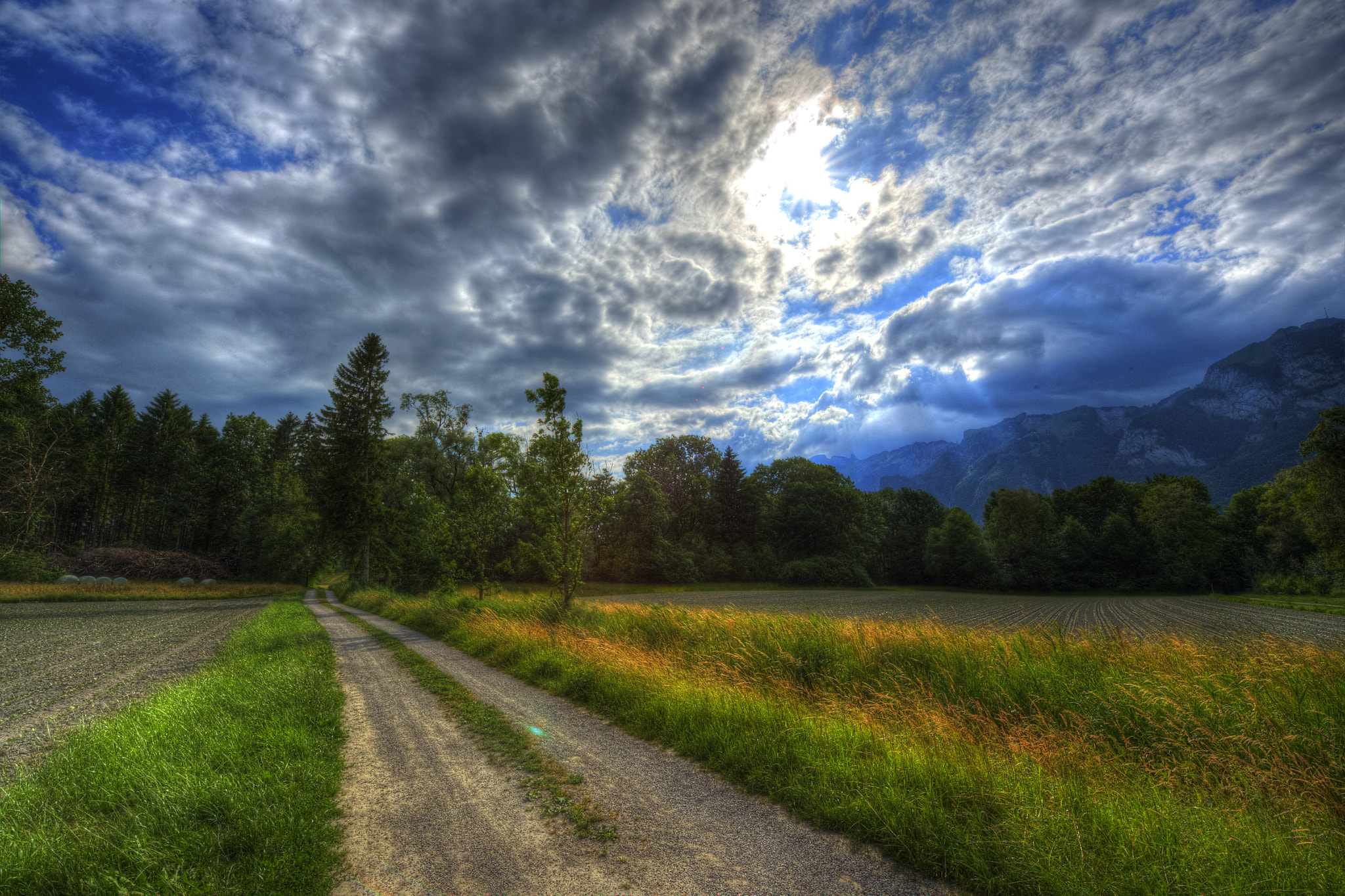 Nikon AF-S Nikkor 14-24mm F2.8G ED sample photo. Ruggeller riet  photography