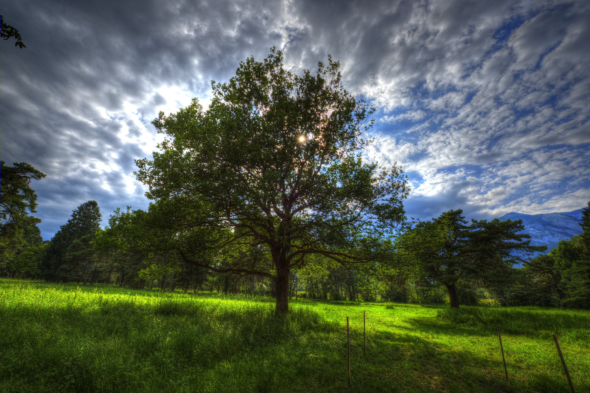 Nikon AF-S Nikkor 14-24mm F2.8G ED sample photo. Ruggeller riet  photography