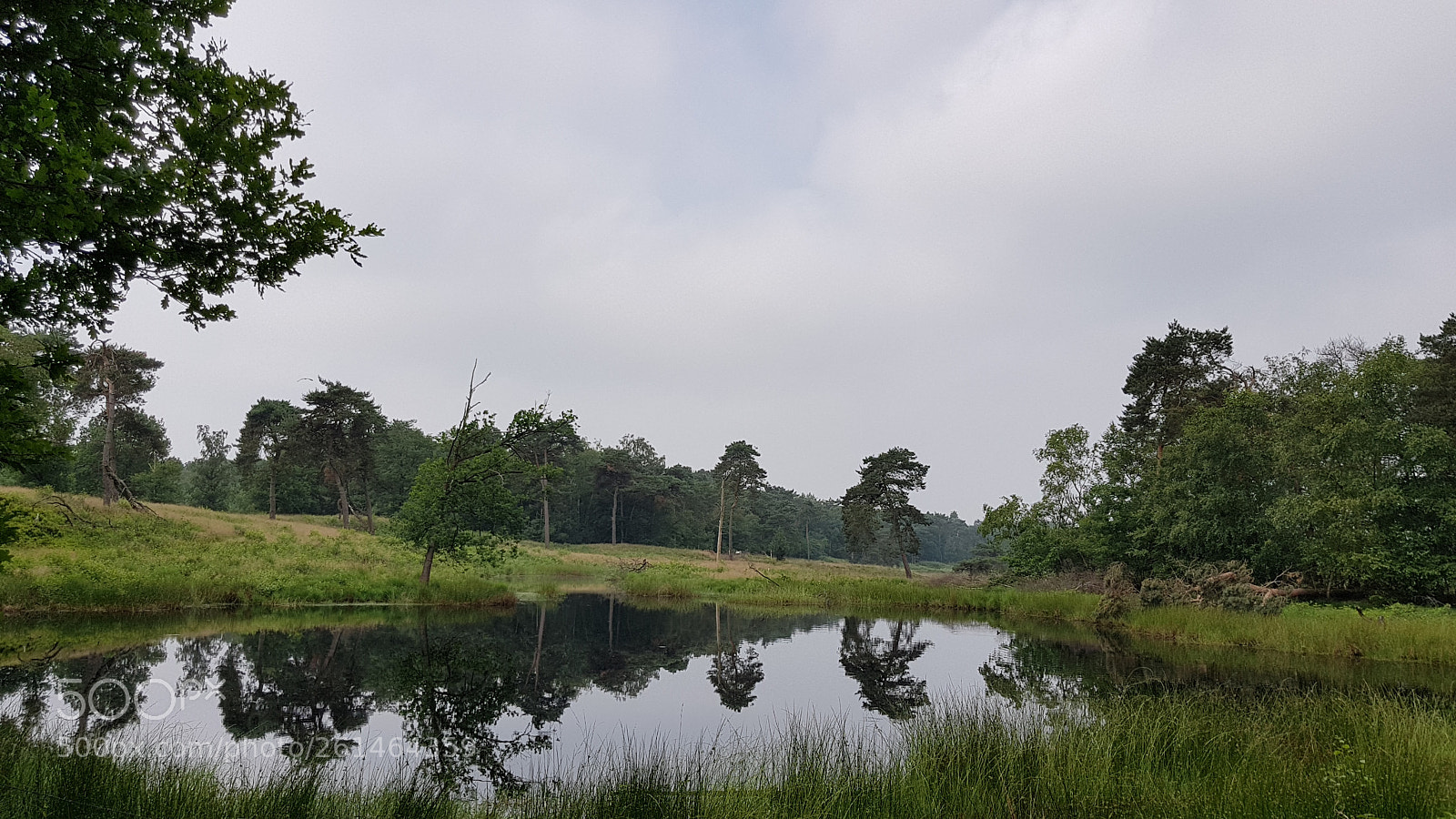 Samsung Galaxy S8 sample photo. Pond near the smugglerspath photography