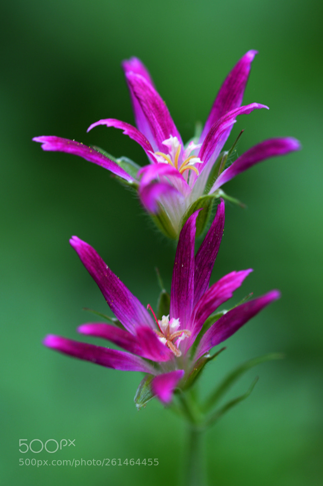 Nikon D3200 sample photo. Untitled photography