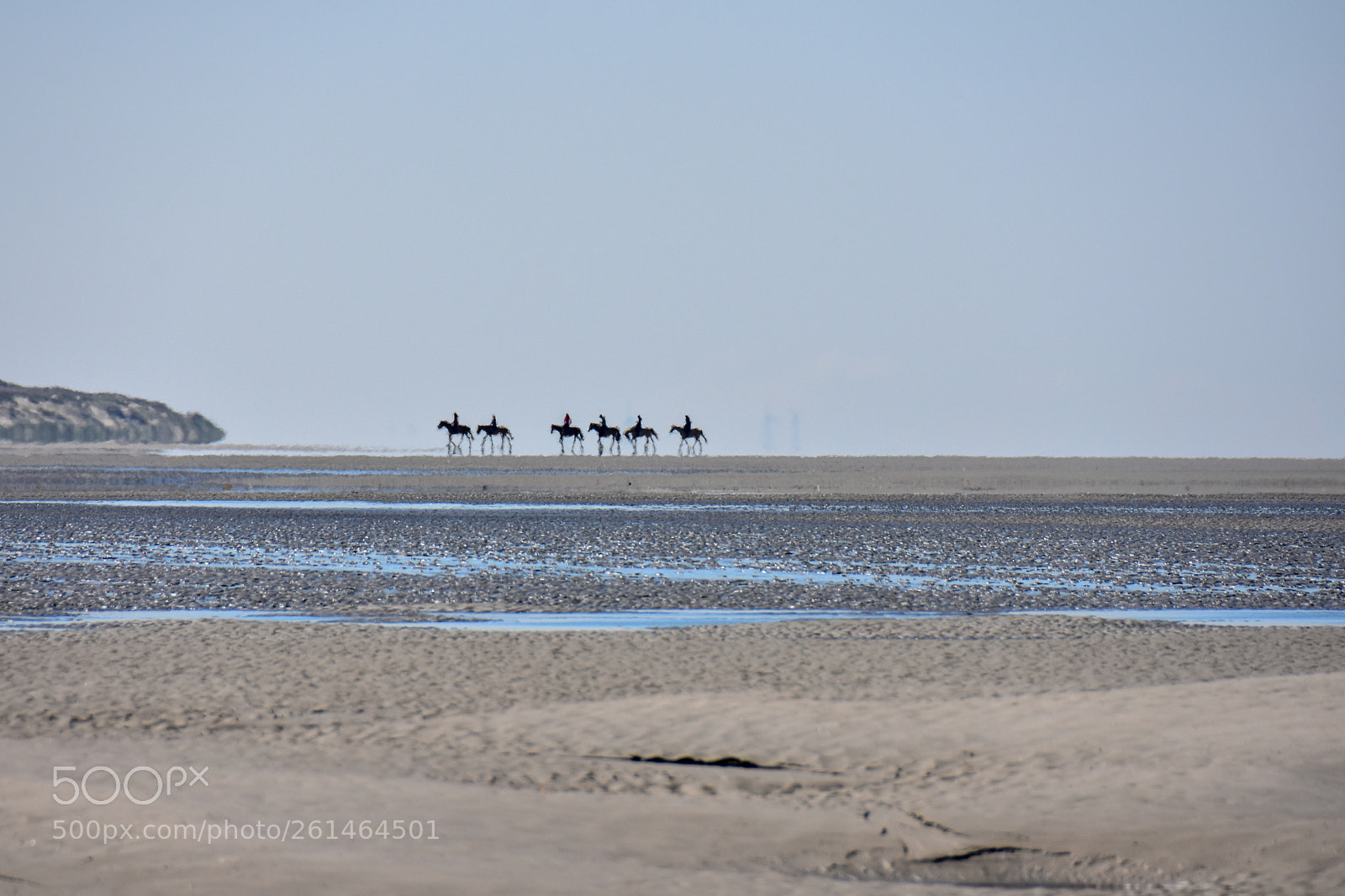 Nikon D7200 sample photo. The horses on the photography