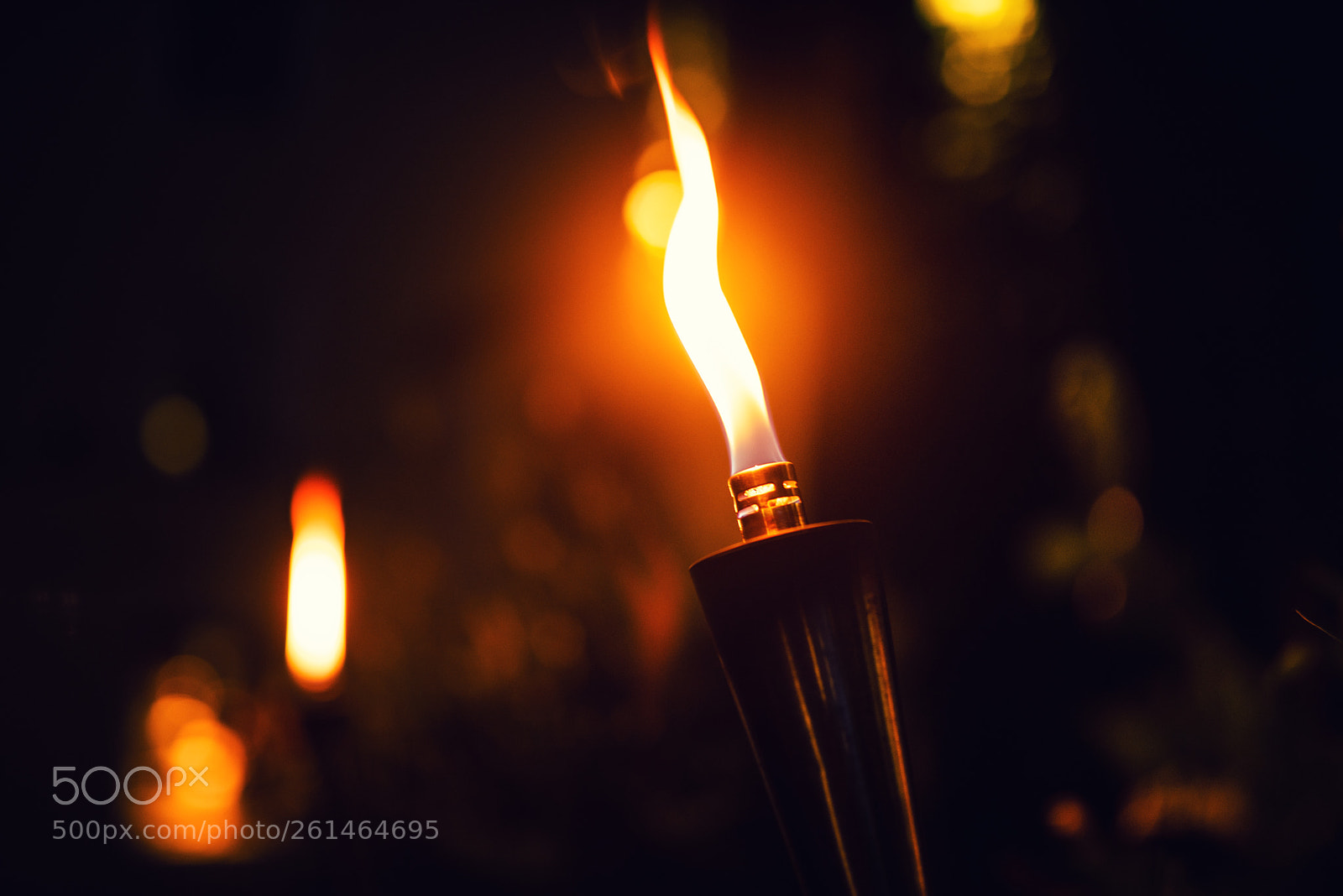Nikon D810 sample photo. In the streets of photography