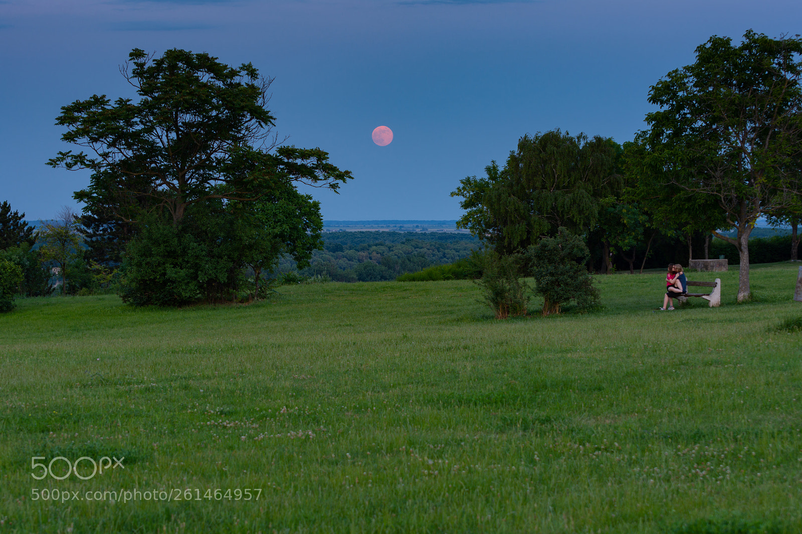 Nikon D7200 sample photo. Fullmoon photography