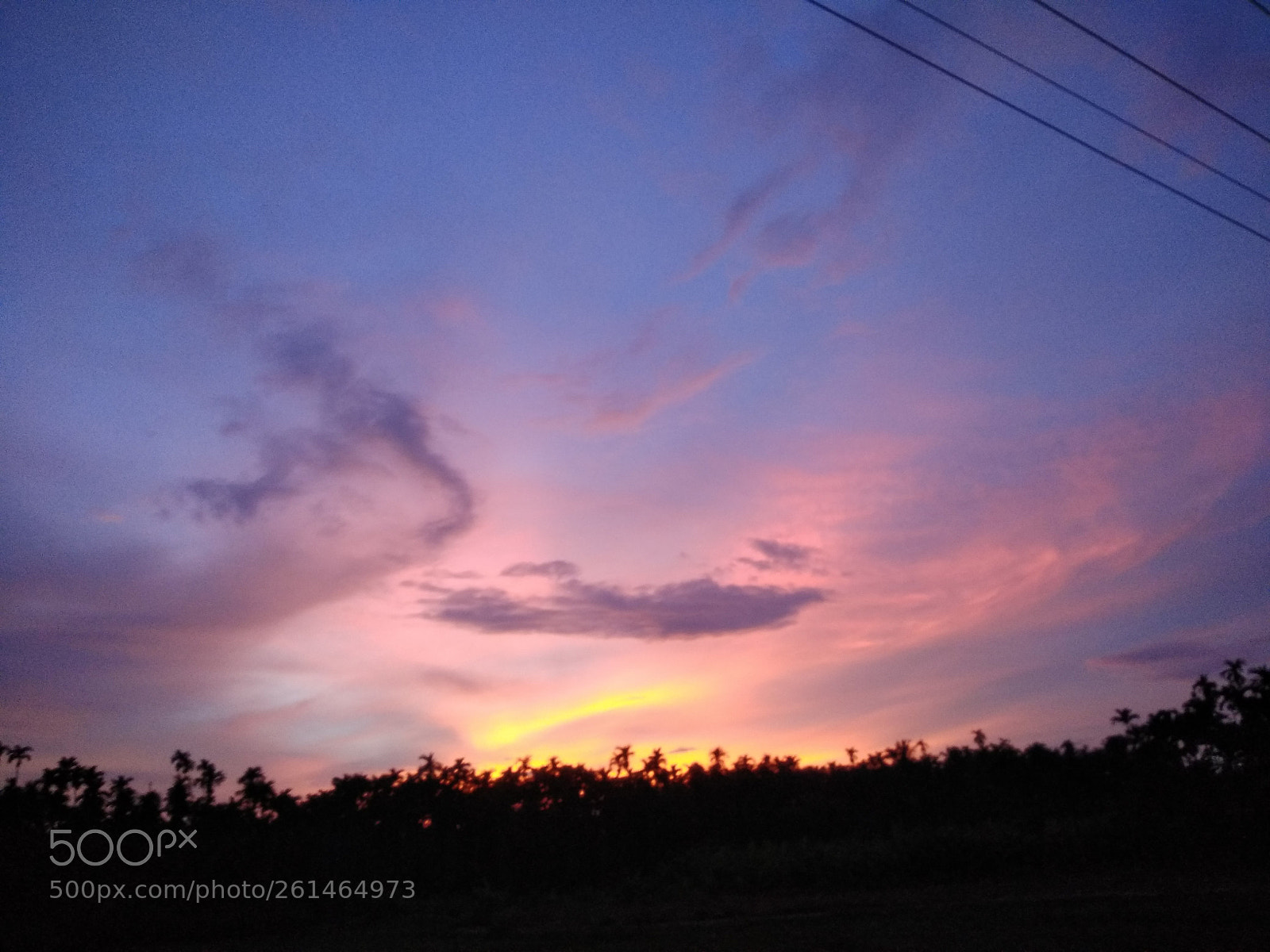 Xiaomi Redmi Note 4 sample photo. Untitled photography
