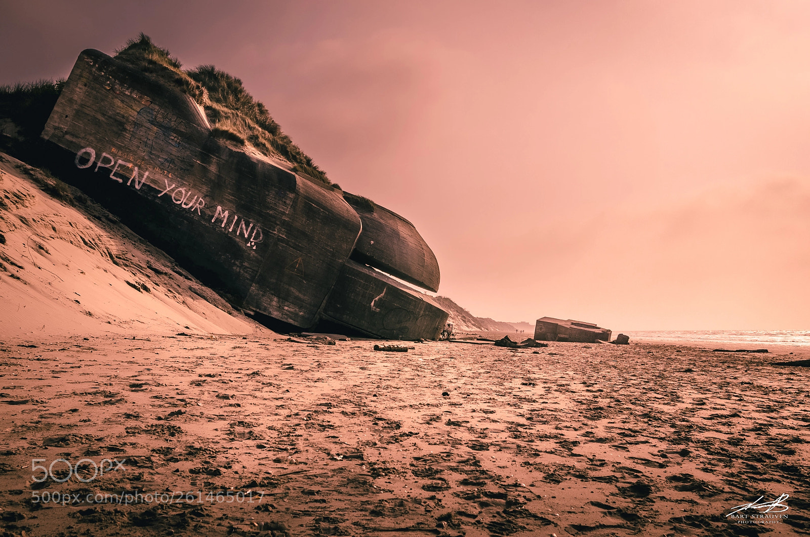 Nikon D7000 sample photo. Life on mars photography