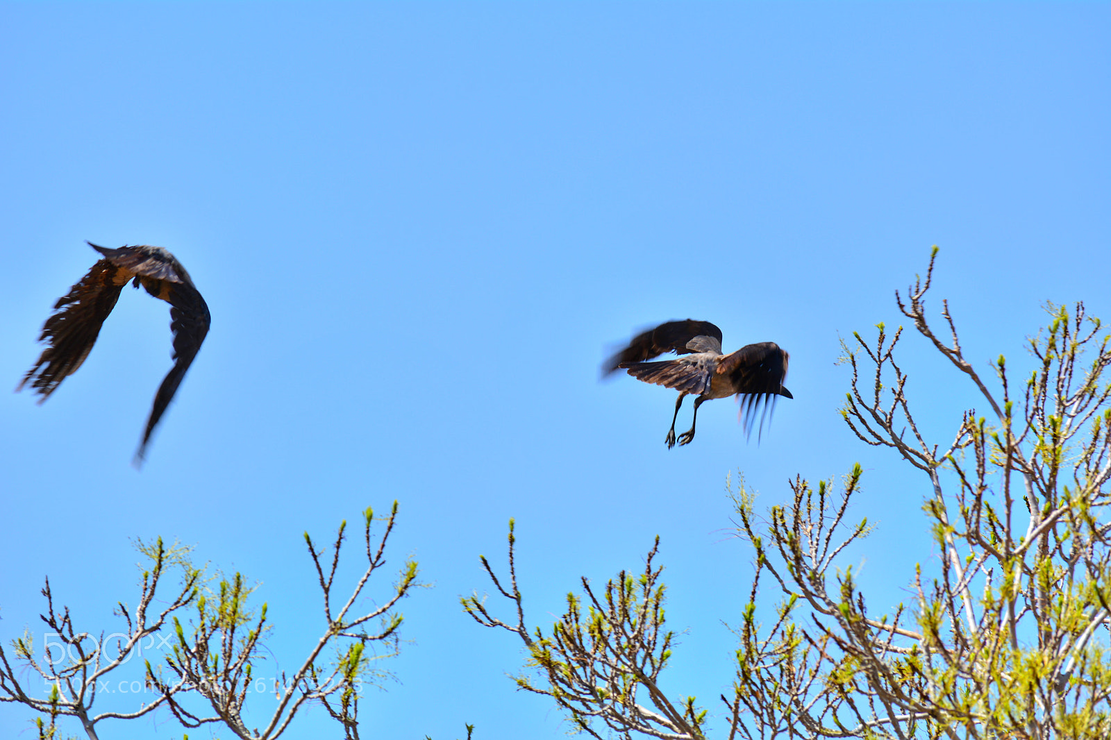 Nikon D5200 sample photo. Untitled photography