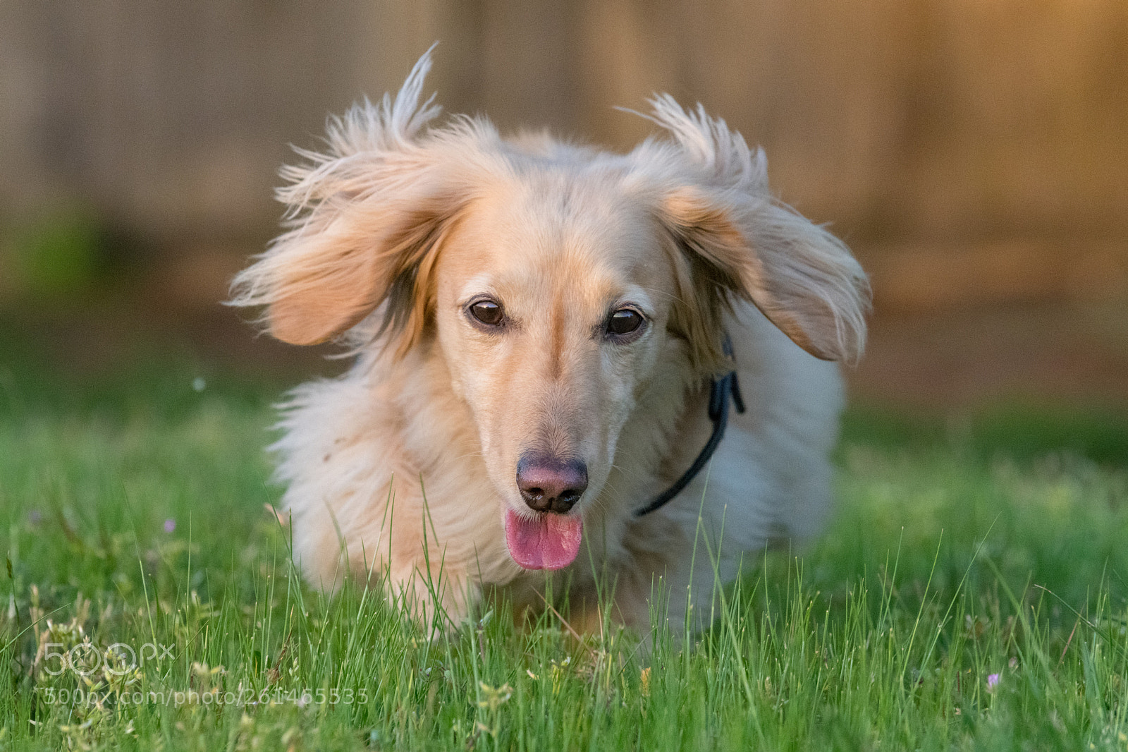 Nikon D850 sample photo. Sherman photography
