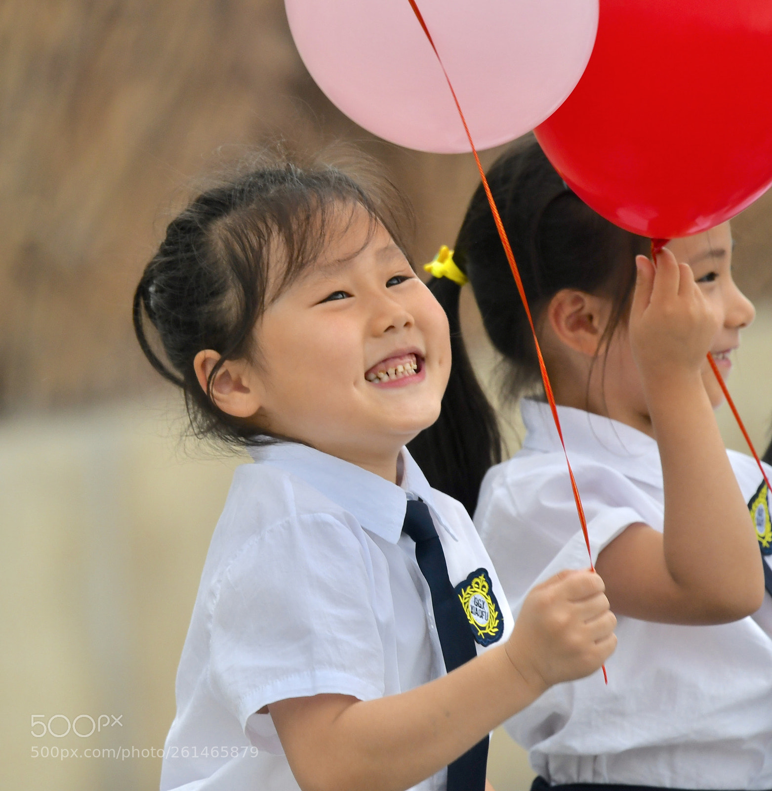 Nikon D500 sample photo. Untitled photography