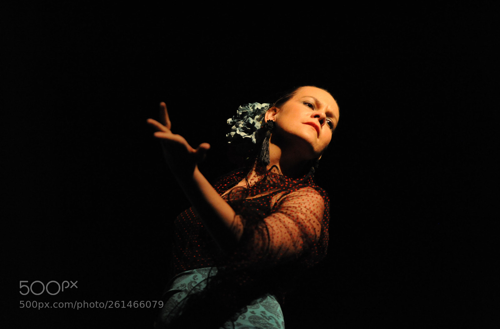 Nikon D700 sample photo. Libertysoul 6/2016 photography
