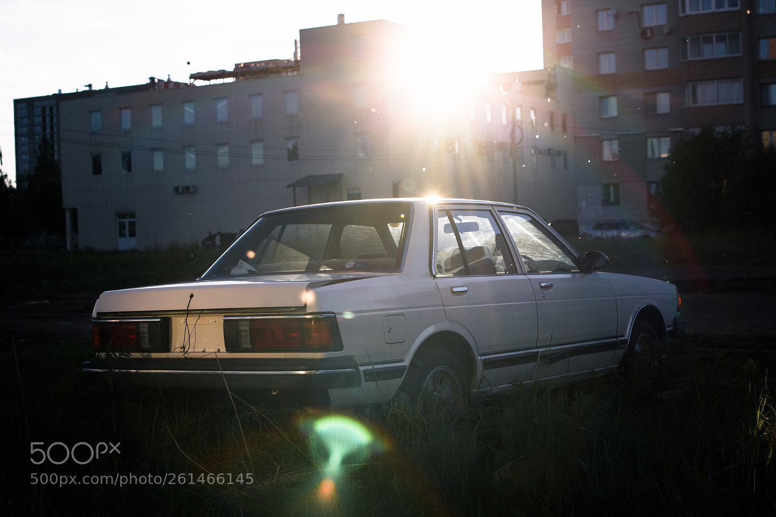 Canon EOS 700D (EOS Rebel T5i / EOS Kiss X7i) sample photo. Nissan bluebird 1983 photography