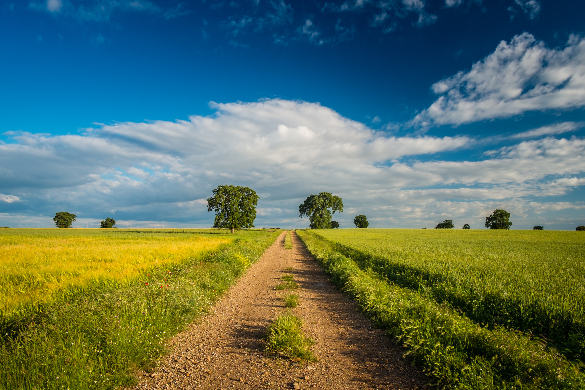 Fujifilm X-E1 sample photo. Rain, sun & fields photography