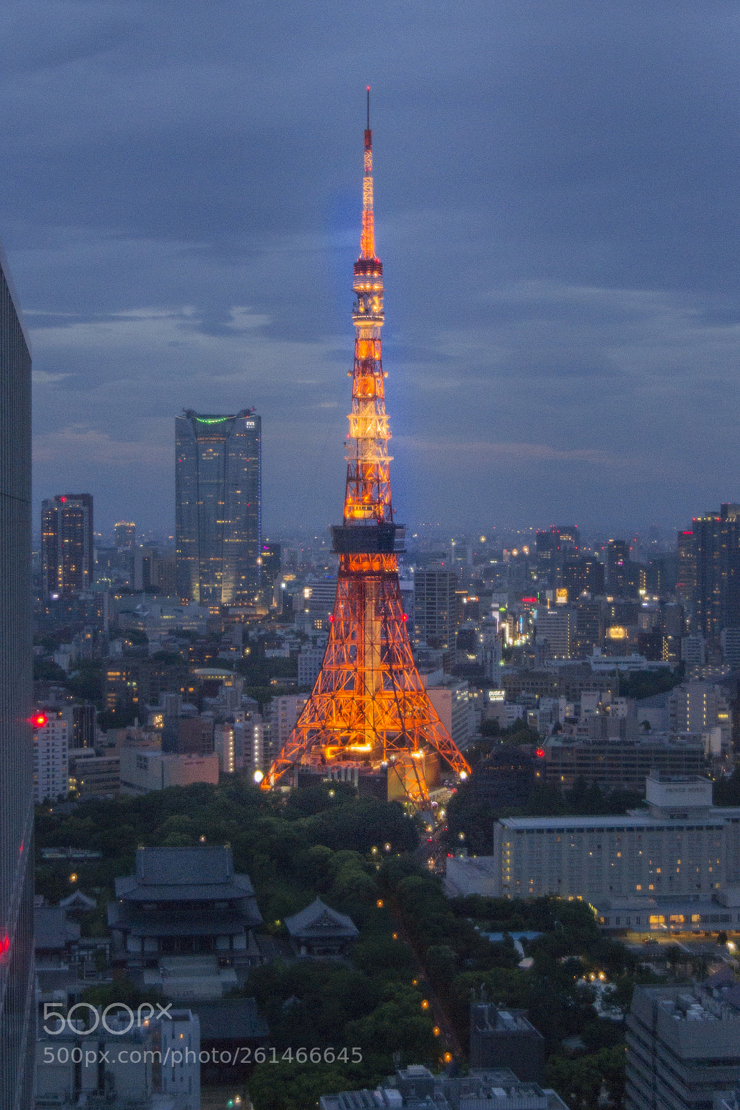Nikon D3100 sample photo. Tokyo tower photography
