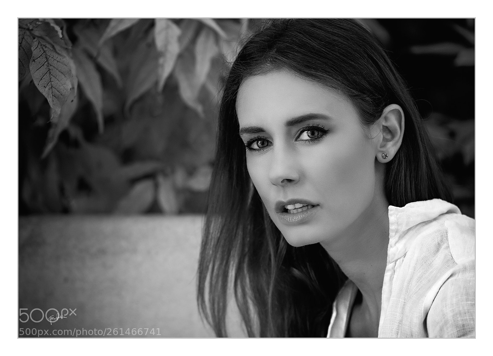 Nikon D800 sample photo. An photography
