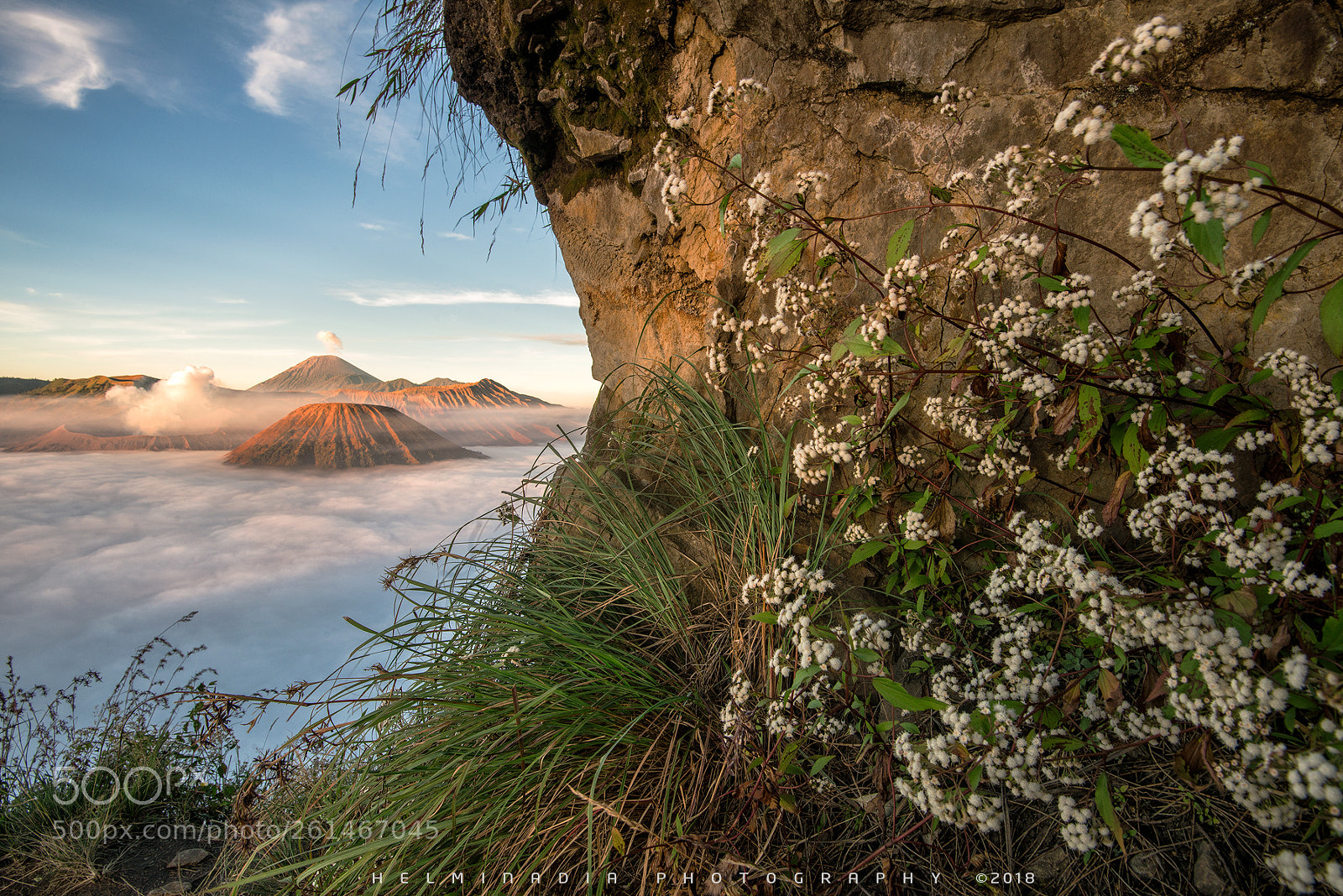 Nikon D800E sample photo. Bromo sunrise photography