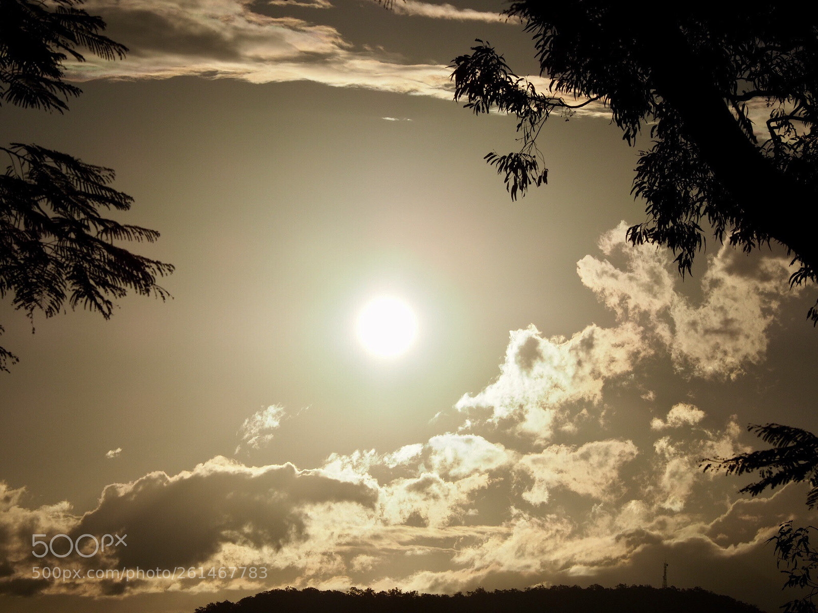 Olympus OM-D E-M1 Mark II sample photo. Warm photography