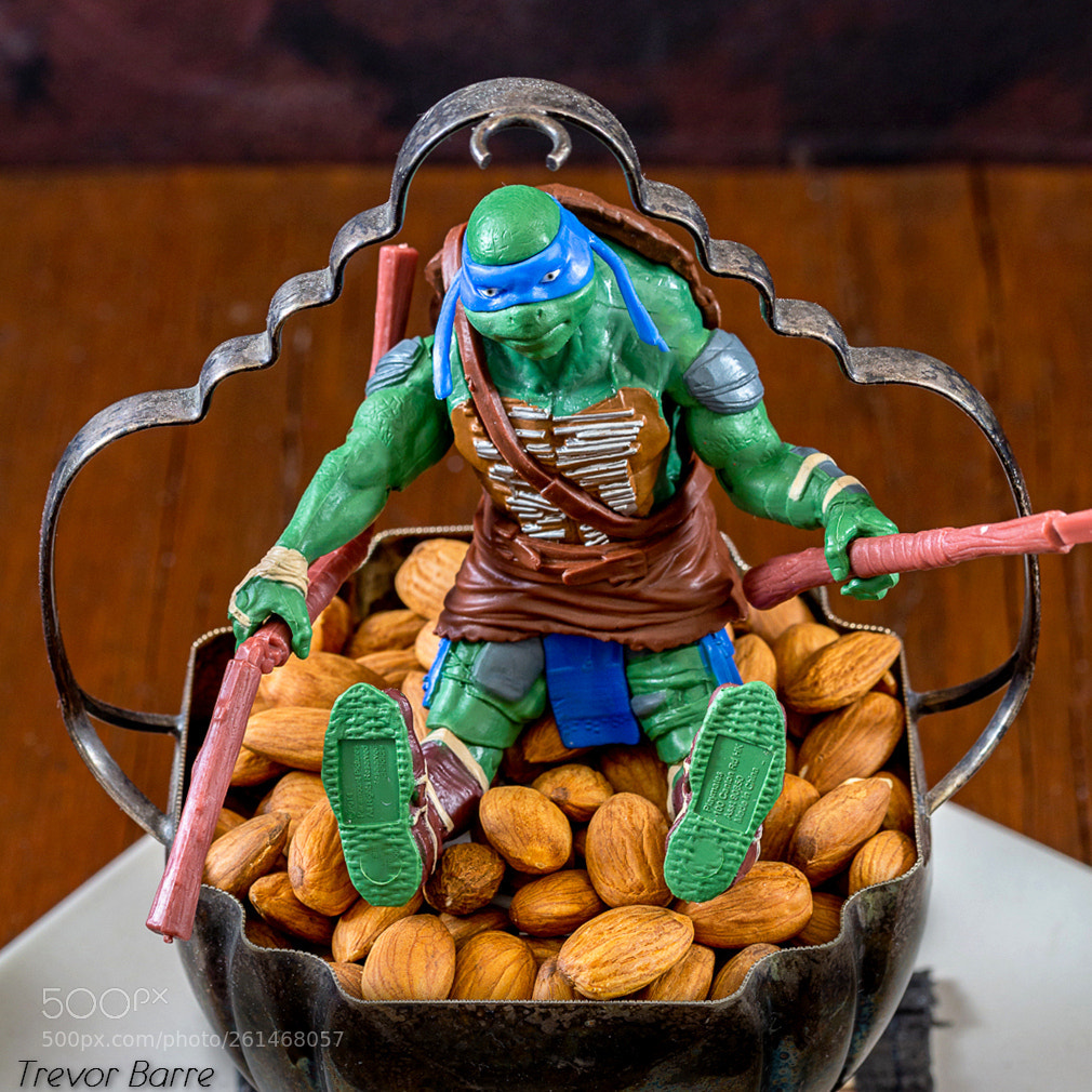 Canon EOS 650D (EOS Rebel T4i / EOS Kiss X6i) sample photo. A ninja turtle sits photography