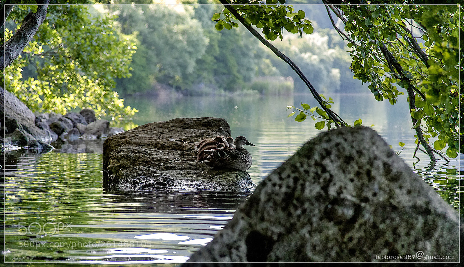 Canon EOS 5D sample photo. Lake of albano, foreshortening photography