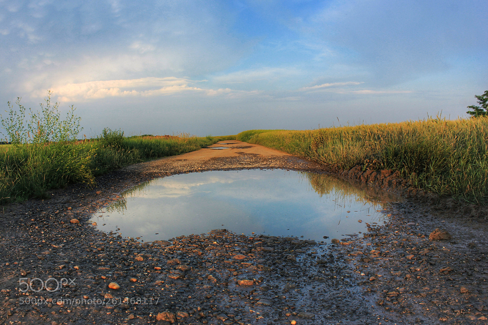 Canon EOS 600D (Rebel EOS T3i / EOS Kiss X5) sample photo. After rain photography
