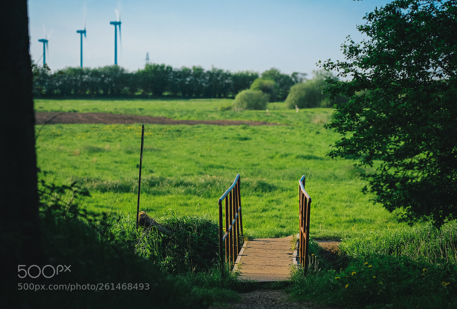 Fujifilm X-T2 sample photo. A bridge to the photography