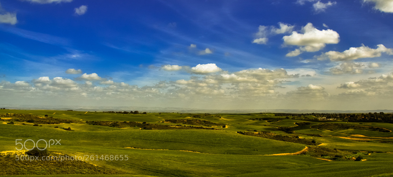 Nikon D5500 sample photo. Green&blue photography