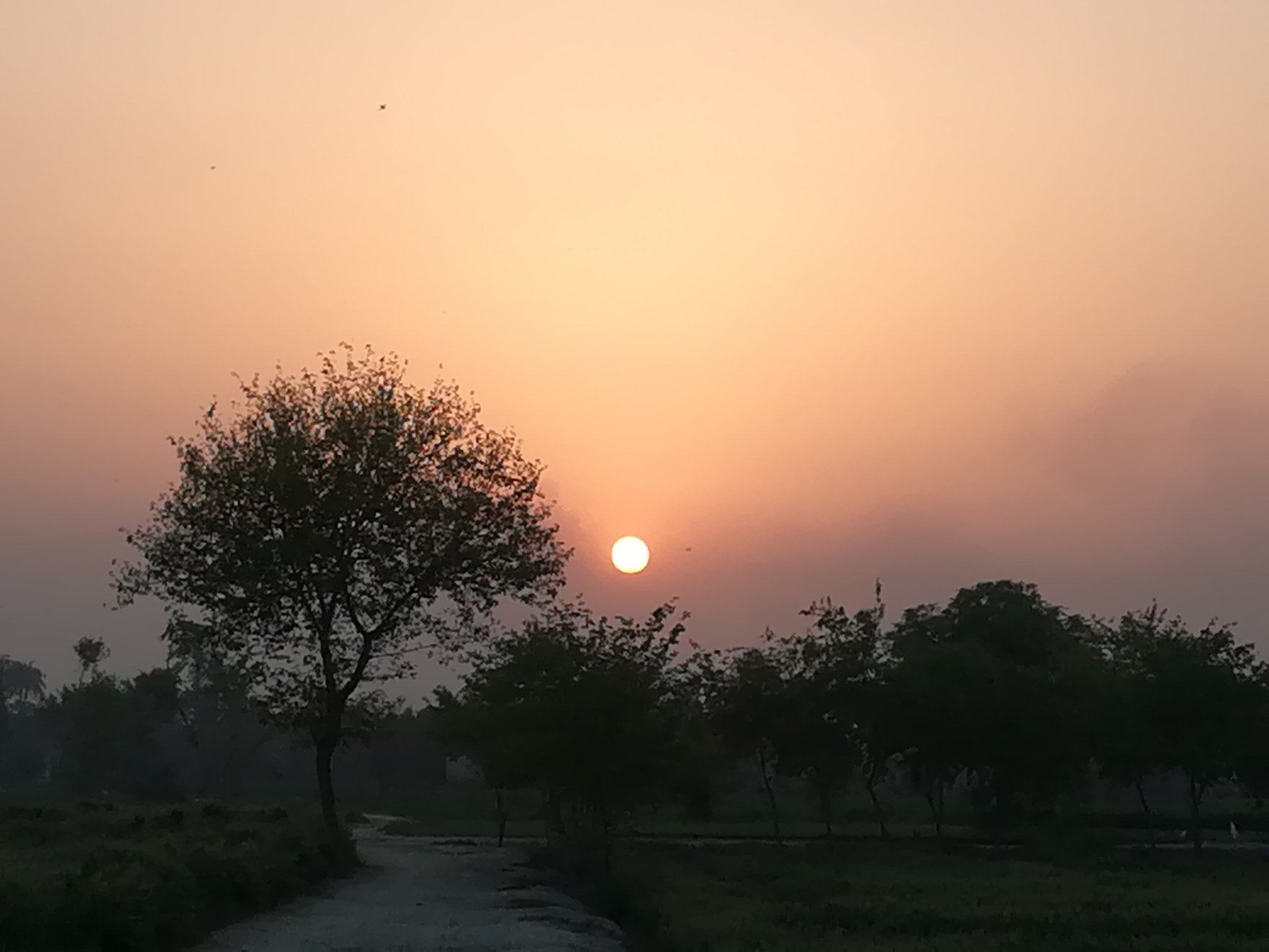 HUAWEI honor 6x sample photo. Beautiful sunset photography