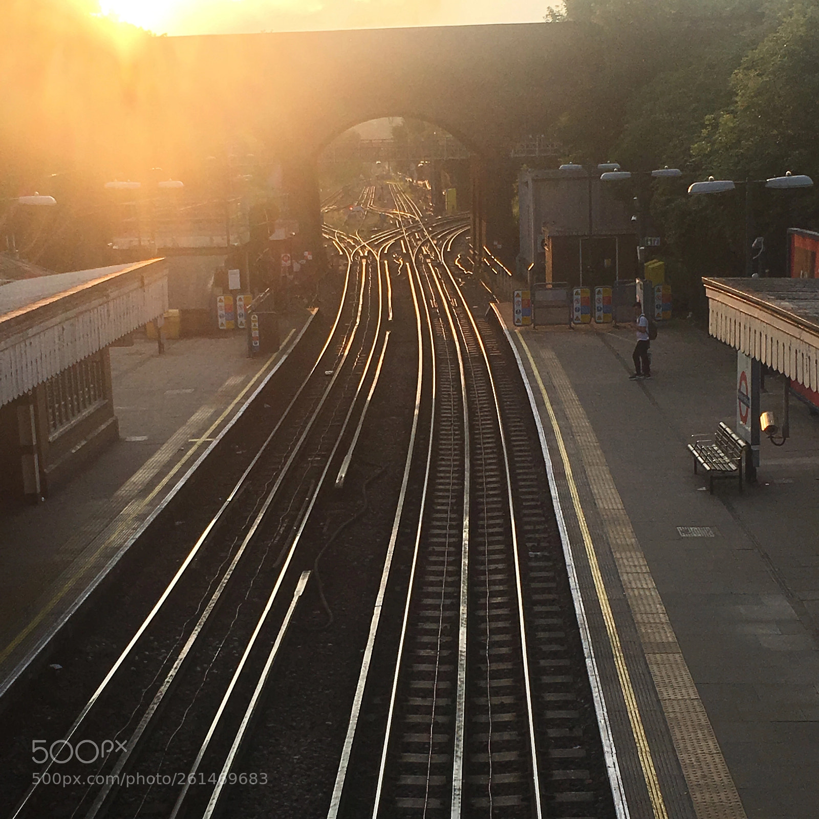 Apple iPhone 6s sample photo. A photography
