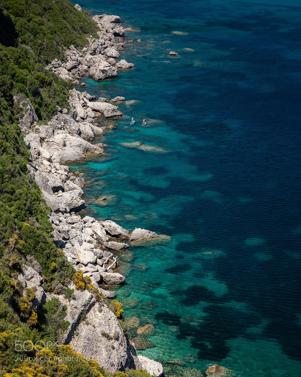 Canon EOS 5D Mark IV sample photo. Paddle boarders photography