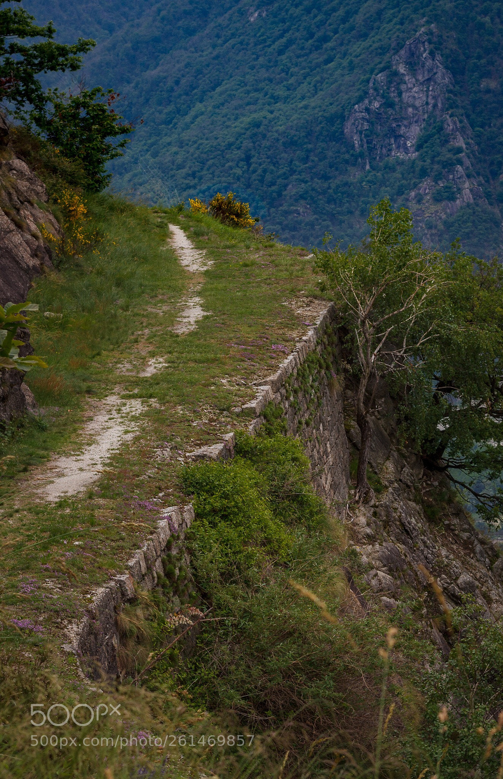 Canon EOS 1200D (EOS Rebel T5 / EOS Kiss X70 / EOS Hi) sample photo. Mont orfano photography