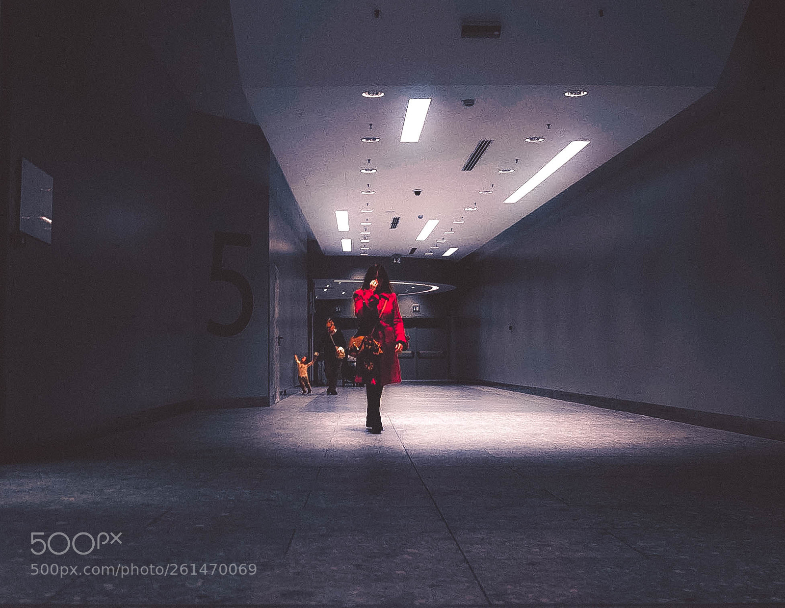 Nikon D3 sample photo. Hangar 5 photography